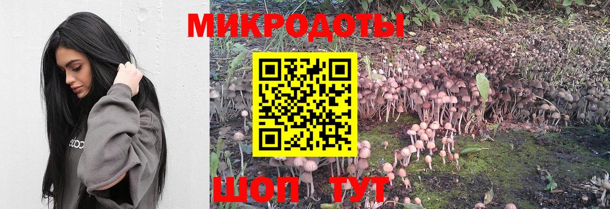 Псилоцибиновые грибы Magic Shrooms Донской