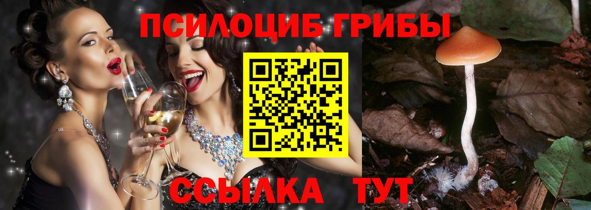 Псилоцибиновые грибы Psilocybine cubensis  Псилоцибиновые грибы Cubensis  Вход с VPN  Донской 